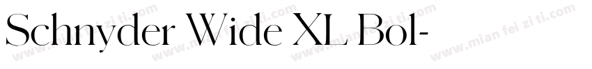 Schnyder Wide XL Bol字体转换